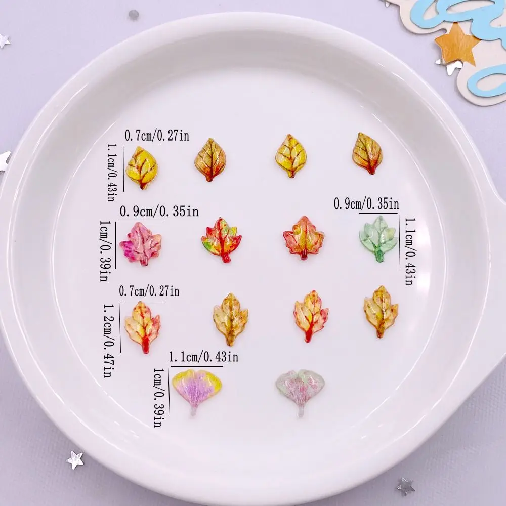 50pcs 혼합 수지 미니 크리스탈 다채로운 단풍 나무 - Paradise Jewelry & Watches Llc Miami 리뷰 및 가격